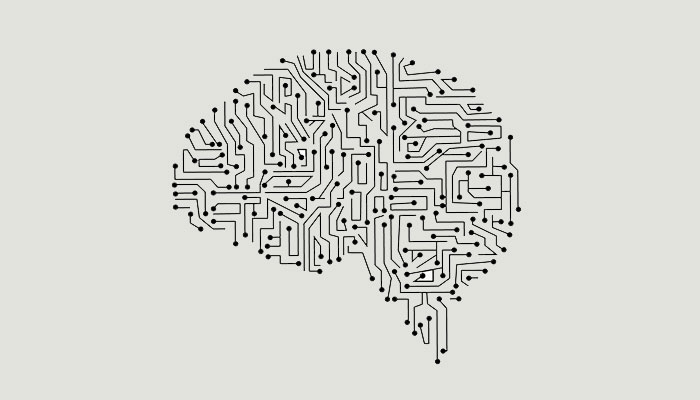 brain