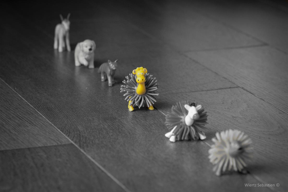 10 Traits of Highly Successful Speakers