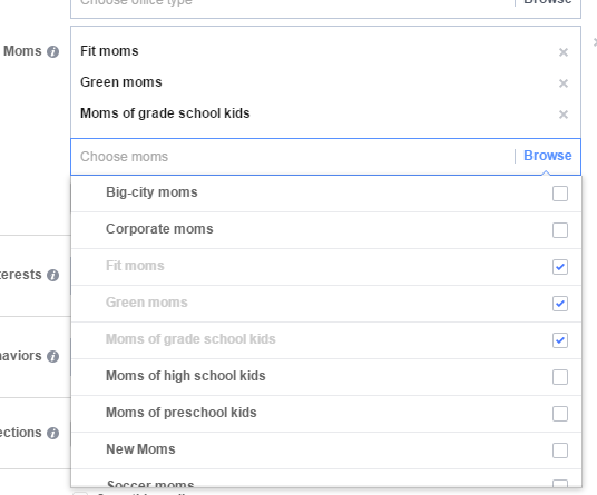 Facebook audience screenshot of types of moms you can target