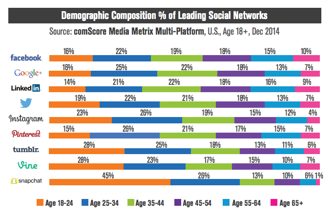 Social Media Networks Demographics