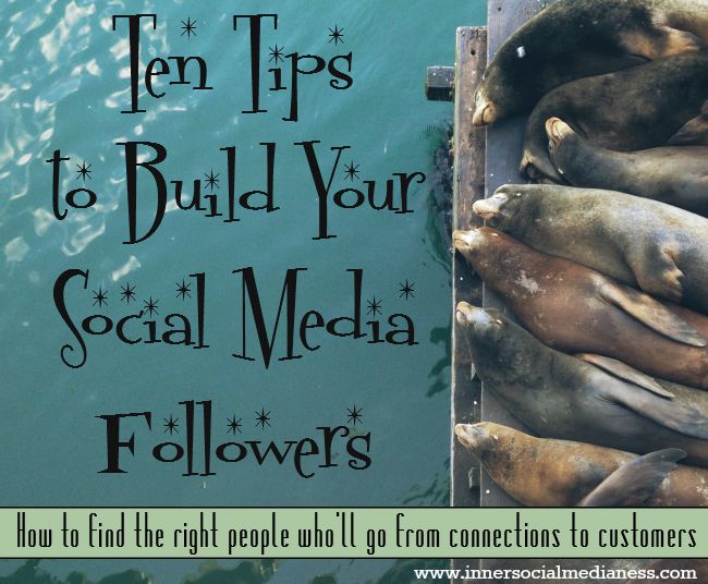 Ten tips to build your social media followers