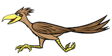 Bird