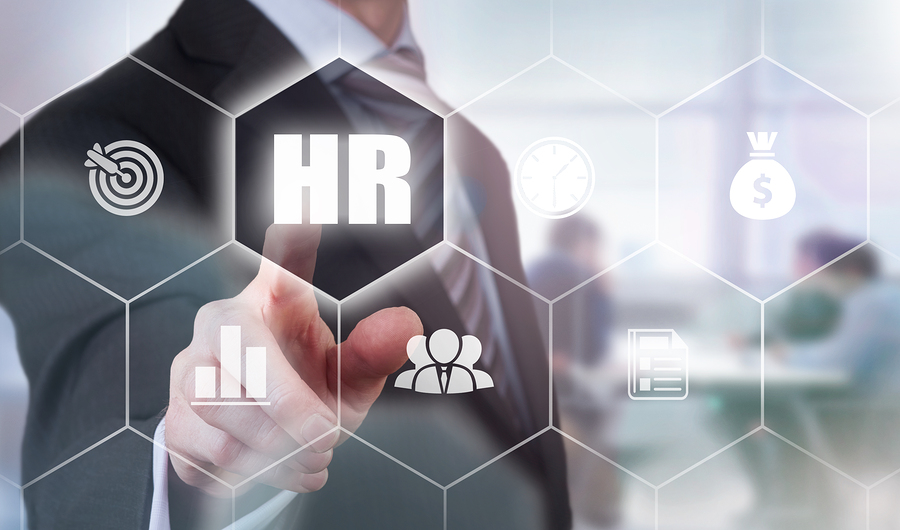 HR expert to help your business