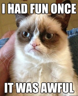 Grumpy Cat Meme