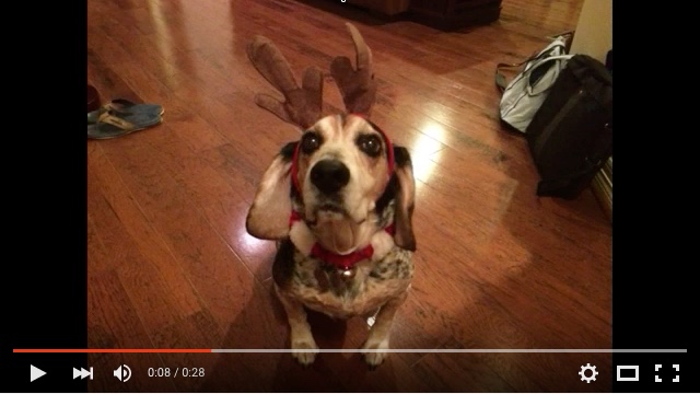 3 Fun (and Easy!) Ideas for Holiday Video Content