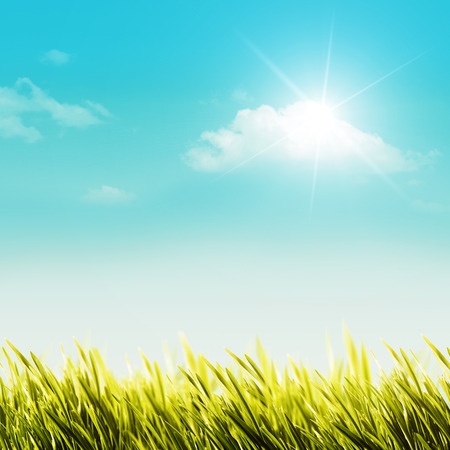 sunshine.jpg