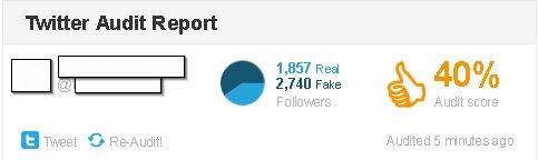 Fake Twitter followers audit report
