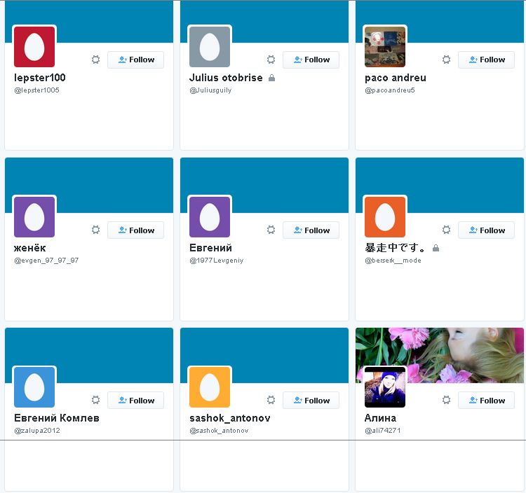 Fake Twitter followers - empty Bios