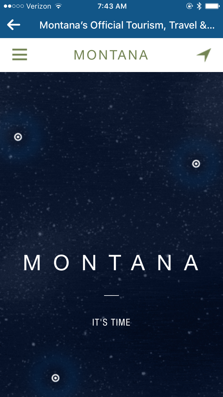 Montana Landing Page for CRO Mistakes