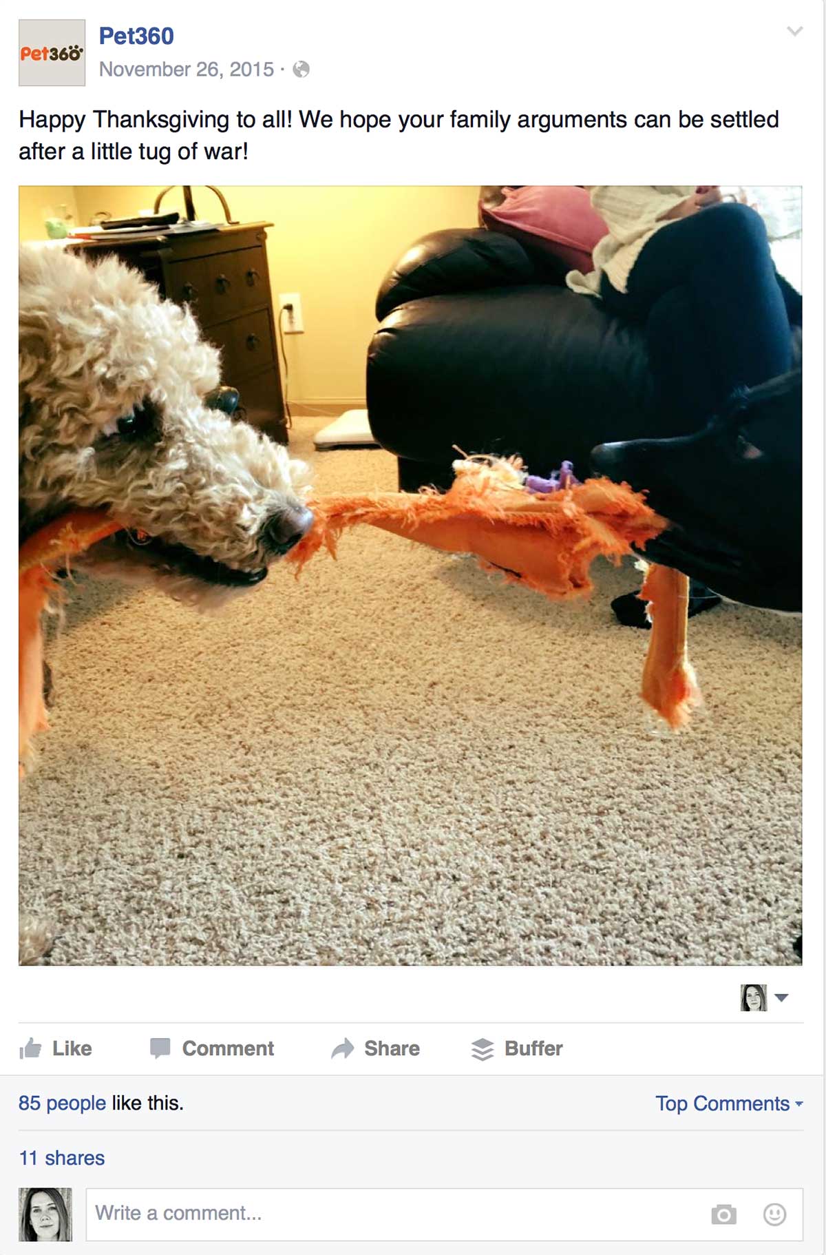 Pet360