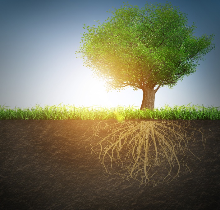 growth hacking: you could be making these rookie mistakes