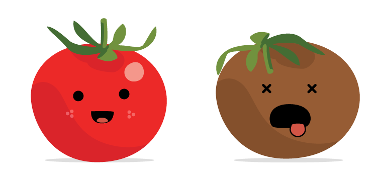 rotten tomato