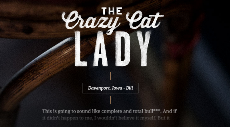 Improve your copywriting through the use of stories. And crazy cat ladies. 