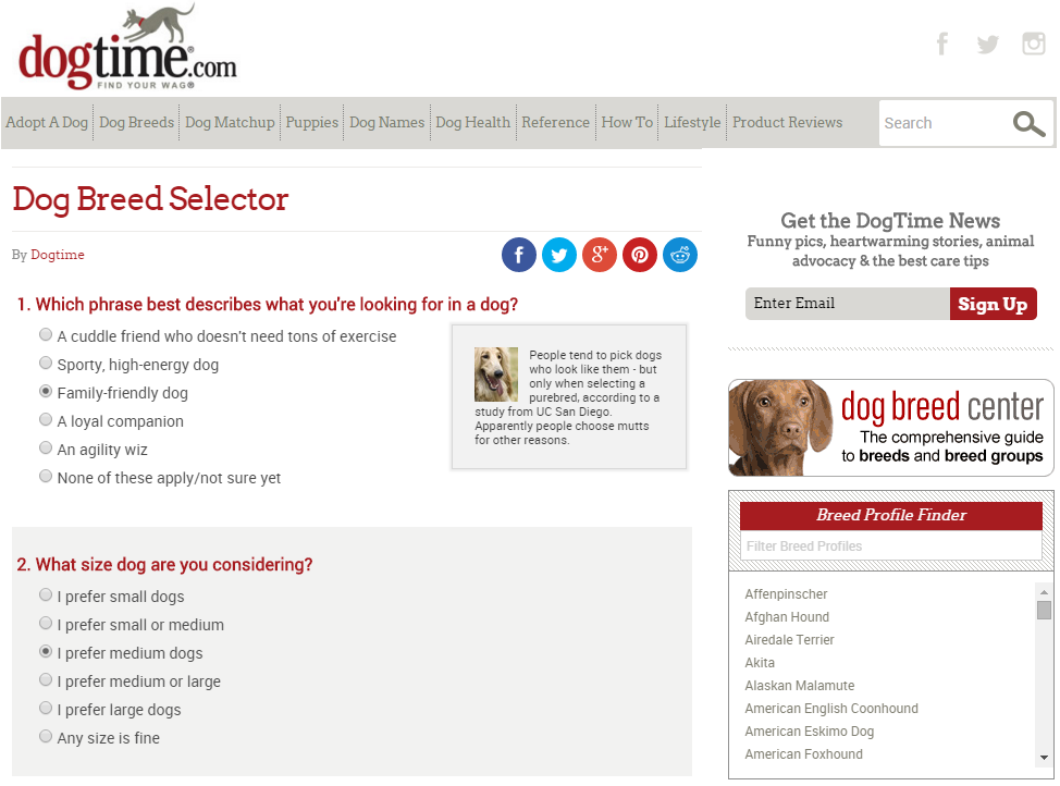 Dogtime dog breed advisor