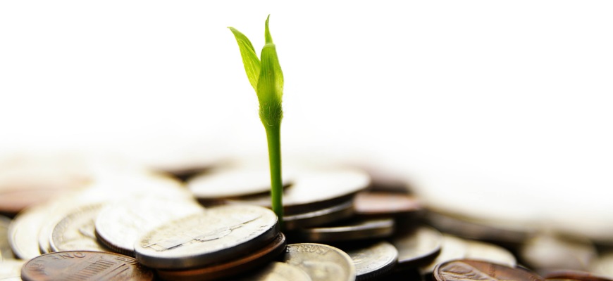 Grow your business