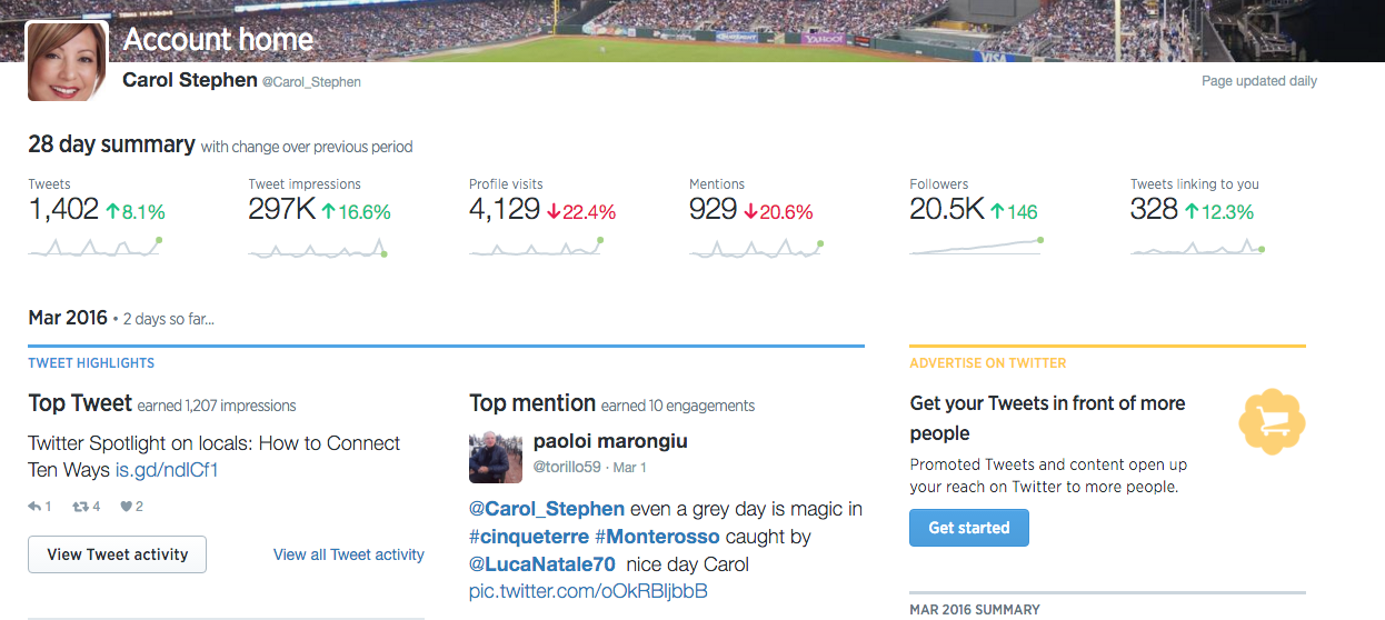 Twitter Analytics Overview for 28 Days