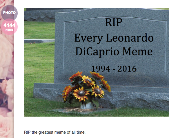 crowdbabble_social-media-analytics_how-the-internet-fell-in-love-with-leonardo-dicaprio_tumblr_RIP-meme-pottergirl05