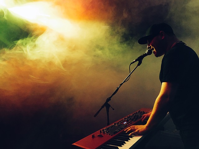 concert photo