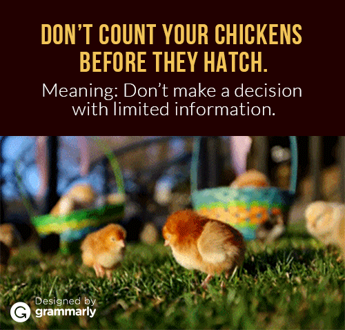 Don't count your chickens idiom GIF