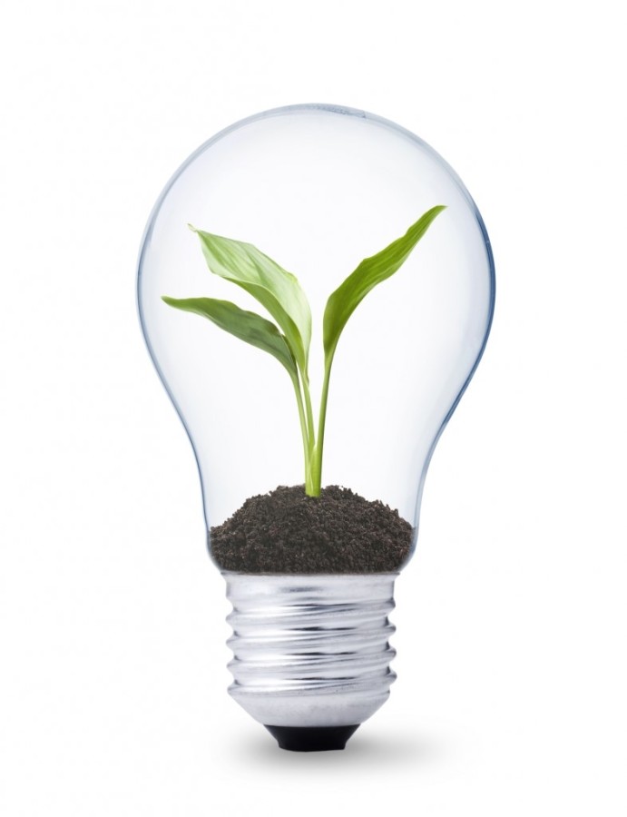 Career Development - By Profilia CV cover image