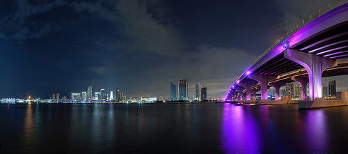 miami night photo