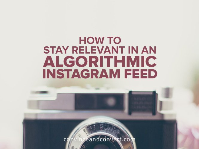How-to-Stay-Relevant-in-an-Algorithmic-Instagram-Feed