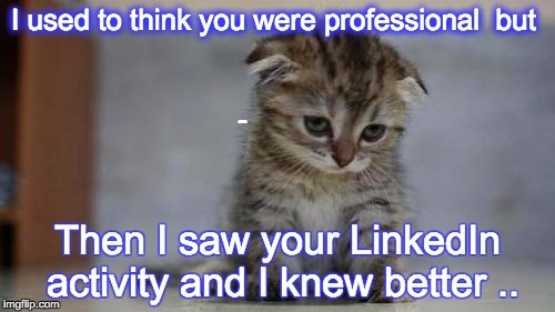 I used to think you were professional kitten