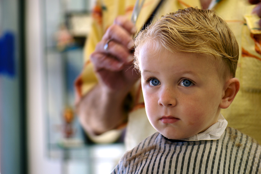 Young boy getting a haircut