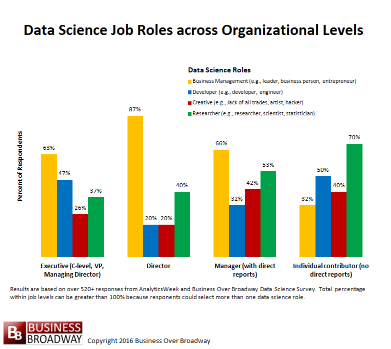 Figure 3. Data Science Roles across Organizational Levels