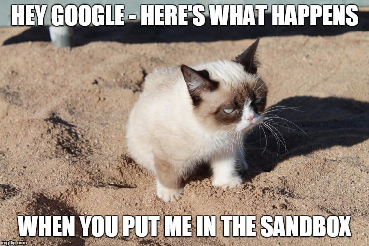 what-is-google-sandbox