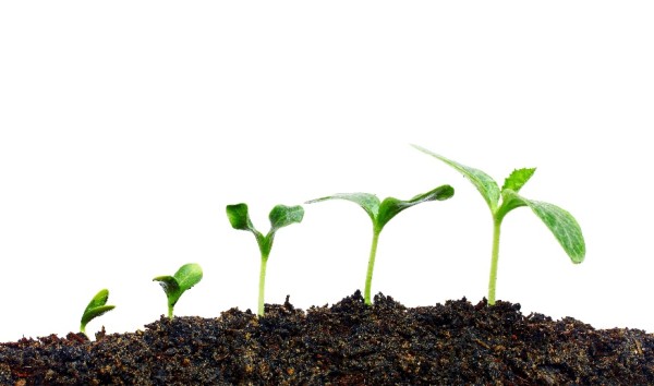 5 Important Leadership Skills to Develop in Your Frontline Managers