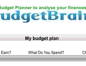 BudgetBrain image