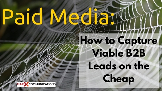 Paid_Media-_How_to_Capture_Viable_B2B_Leads_on_the_Cheap-2.jpg