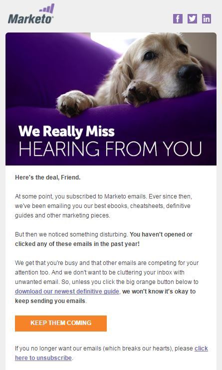 Reactivation Email