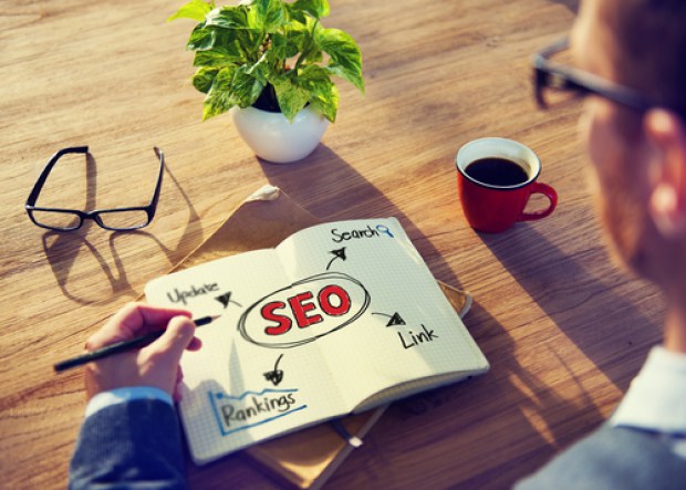 pigeon and seo