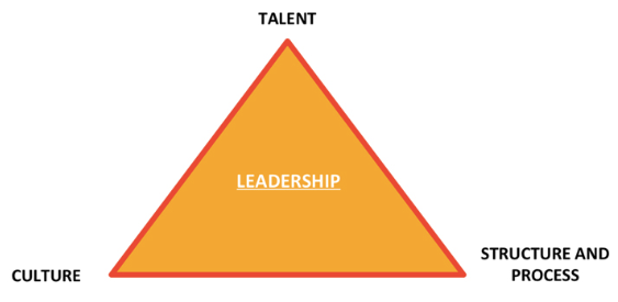 Leadership Triangle