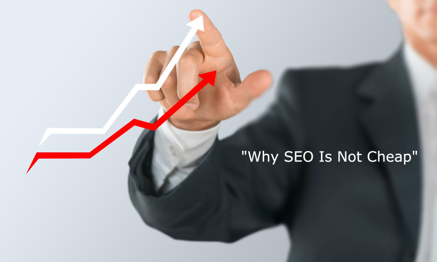 Search Engine Optimization Costs