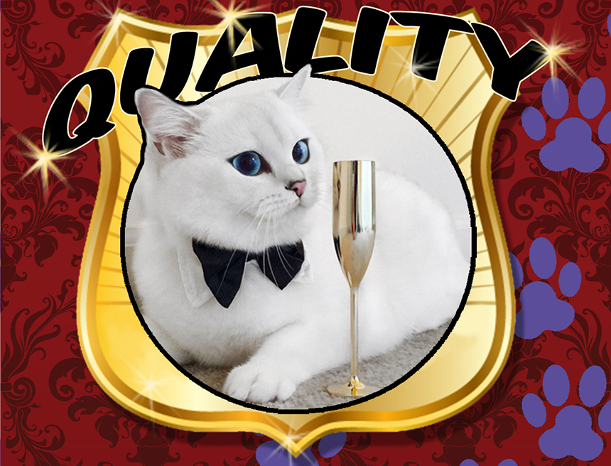 Quality SEO