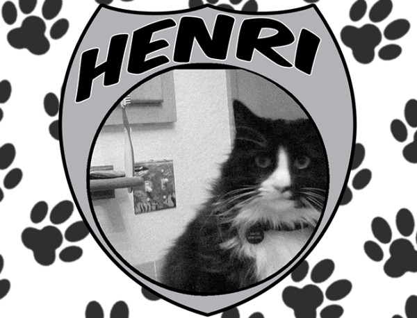 Henri the cat