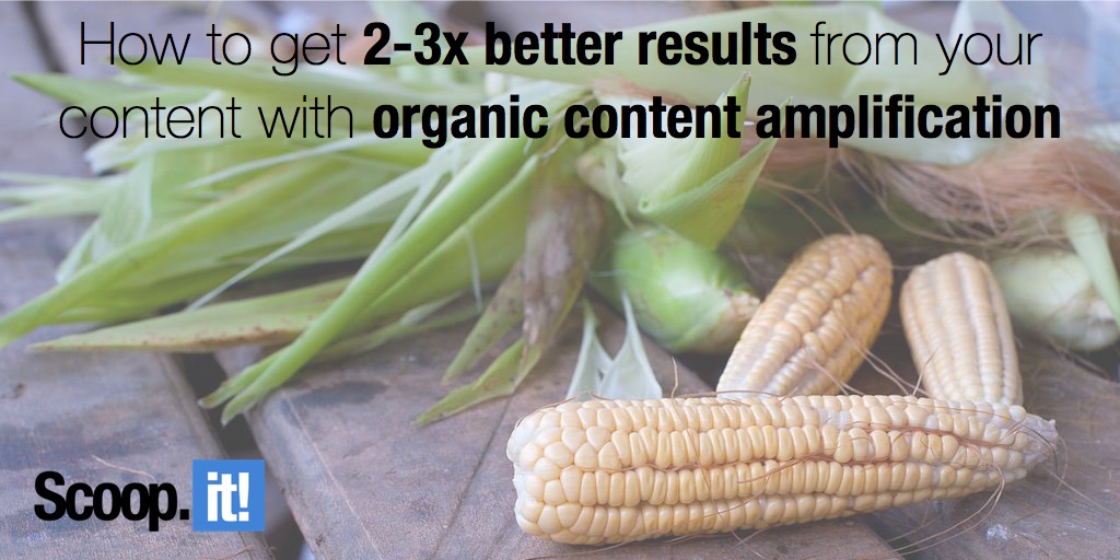 get better results from your content with organic content amplification