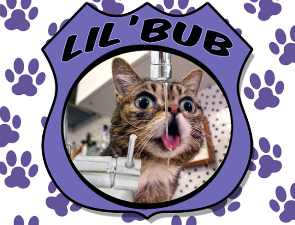 Lil 'Bub Trust Flow