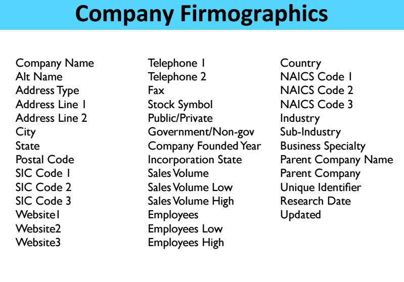 Firmographics Marketing Data