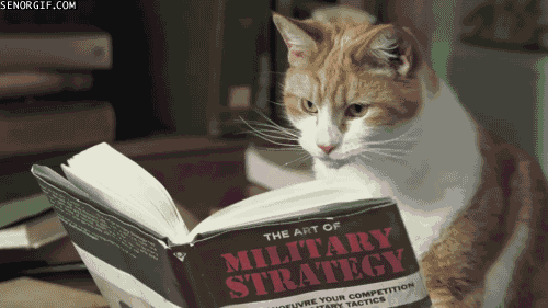 reading