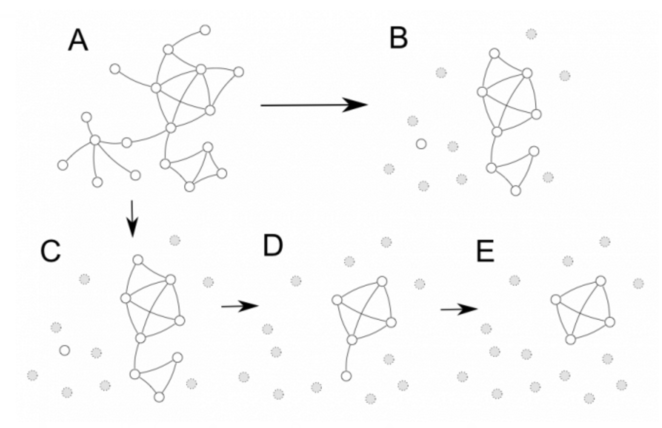 social-network-connections