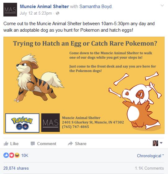 Facebook Animal Shelter Pokemon post