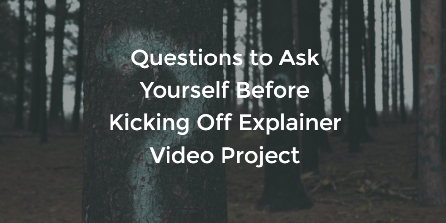 Explainer Video Questions