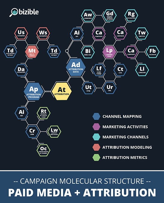 Paid-Media-Campaign-Molecule-545.jpg