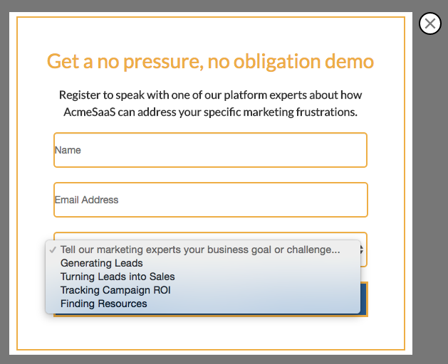 The Most Significant Information You Need to Get from Leads