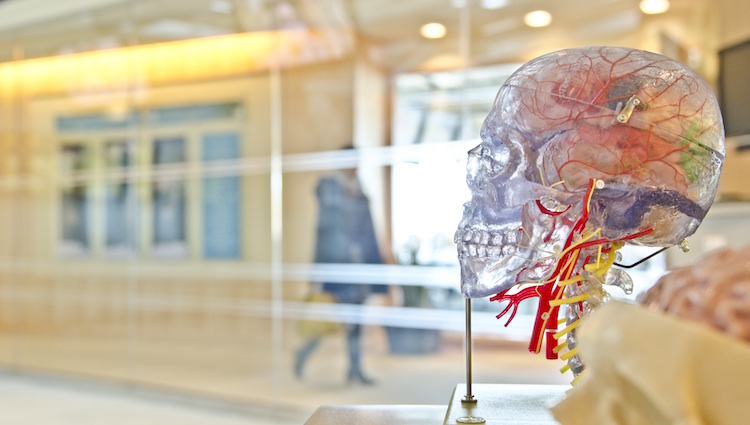 Retail Psychology