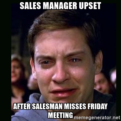 Sales Manager Responsibilities